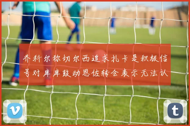 乔科尔称切尔西追求扎卡是积极信号对库库鼓动恩佐转会表示无法认同